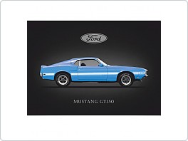 Plechová cedule Ford Mustang Shelby GT 350, 20x30cm