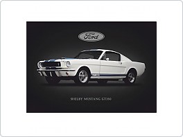 Plechová cedule Ford Mustang Shelby GT 350, 20x30cm