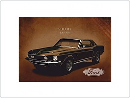 Plechová cedule, Ford Shelby EXP 500, 20x30cm
