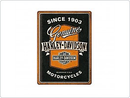 Plechová cedule Harley Davidson, 30x40cm