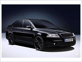 Maska Milotec Škoda Octavia 2, 2004-2008, s černou kovovou mřížkou