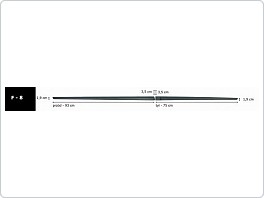Boční ochranné lišty dveří 93+75cm