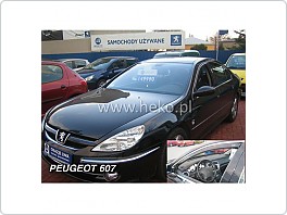 Plexi ofuky oken Peugeot 607 přední