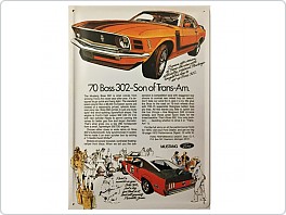 Plechová cedule Ford Mustang Boos 302, 20x30cm