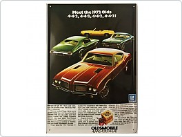 Plechová cedule Oldsmobile 442, 20x30cm