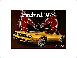 Plechová cedule Pontiac Firebird 1978, 20x30cm