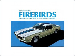 Plechová cedule Pontiac Firebirds 1971, 20x30cm