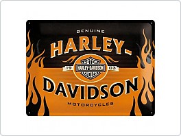 Plechová cedule Harley Davidson Flames, 30x40cm