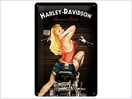 Plechová cedule Harley Davidson Biker Babe, 20x30cm