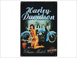 Plechová cedule Harley Davidson Classic Models, 20x30cm