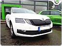 Zimní clona pro Škoda Octavia III Facelift - černá lesklá